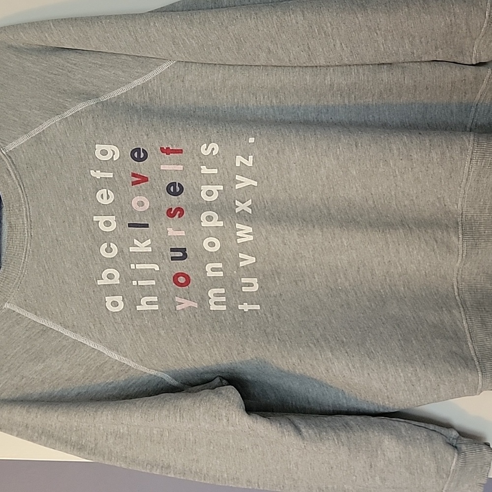 Wildfox Sweatshirt 🩶 - Picture 2 of 3